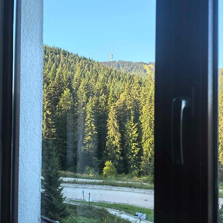 Тайната Квартира - The Secret Apartment Pamporovo Eksteriør bilde